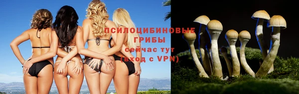 дурь Корсаков