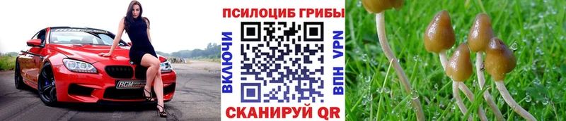 купить наркотик площадка телеграм Псилоцибиновые грибы мицелий Орехово-Зуево